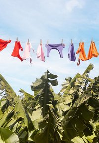 Des vêtements colorés et courts sèchent sur une corde à linge, comprenant des pièces rouges, roses, violettes et orange, avec un feuillage vert luxuriant en dessous.