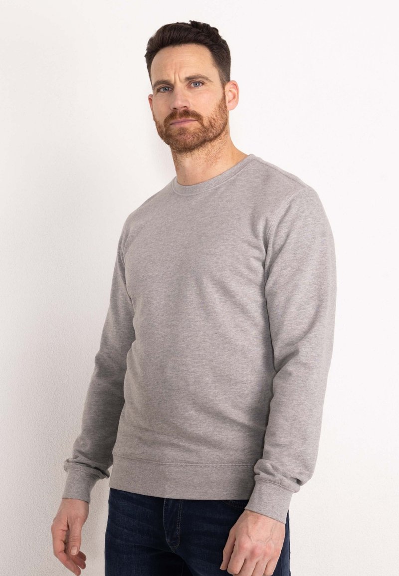 Grey cotton sweatshirt with long sleeves, a crew neckline, and ribbed cuffs and hem. Worn with blue jeans, featuring a smooth texture.