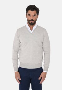 Maglione con scollo a V in tessuto grigio chiaro a maglia, con maniche lunghe e polsini a coste, abbinato a una camicia bianca sotto.