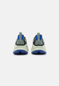 Adidas Terrex TERREX TRAILMAKER  - Turistiniai batai - silver green/linen green/core black