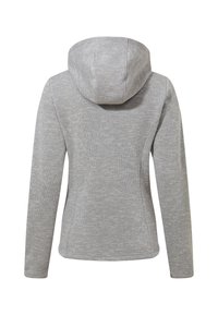 Lichtgrijze gebreide hoodie met lange mouwen, aansluitende taille en zichtbare naden, van achteren getoond op een witte achtergrond.