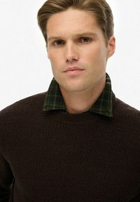 Donkerbruine gebreide trui met een ronde halslijn, gecombineerd met een groene geruite shirtkraag, en met een slim fit ontwerp.