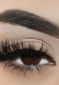 Close-up of a brown eye with long, thick black eyelashes and defined black eyeliner. The brow is well-groomed and dark, with smooth skin surrounding.