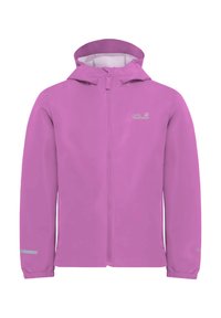 Non sélectionné, lizard