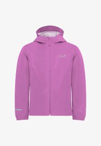 Non selezionato, lizard