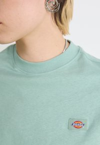 Hele roheline puuvillane särk ümarate krae ja väikese mitmevärvilise "Dickies" logo plaastriga vasakul pool. Pehme tekstuur.