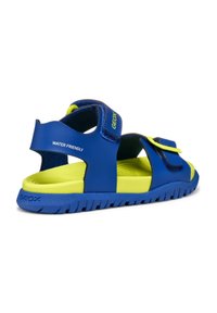 Sandali amici dell'acqua blu con accenti gialli, dotati di due cinturini regolabili, una suola texturizzata e logo Geox sul lato.