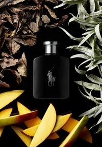 Ralph Lauren Fragrance POLO BLACK - Eau de Toilette