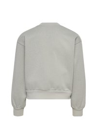 Lichtzilveren cropped sweatshirt met een soepele textuur, geribbelde manchetten en een eenvoudige ronde halslijn; heeft een glanzende afwerking.