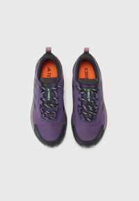 Adidas Terrex ANYLANDER - Chaussures de marche - aurora plum/core black/trace brown