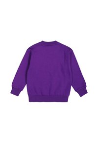 Felpa viola con scollatura rotonda, polsini e orlo a costine. Realizzata in tessuto morbido, presenta una superficie liscia e senza motivi visibili.