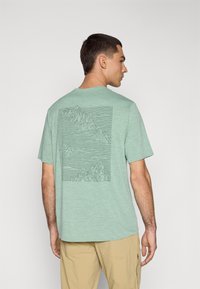 Patagonia DAILY GRAPHIC SHIRT - T-shirt de sport - ellwood green
