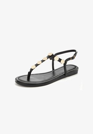 Black flat sandal with a thong design, featuring a series of gold circular accents along the strap and a buckle detail on the ankle.