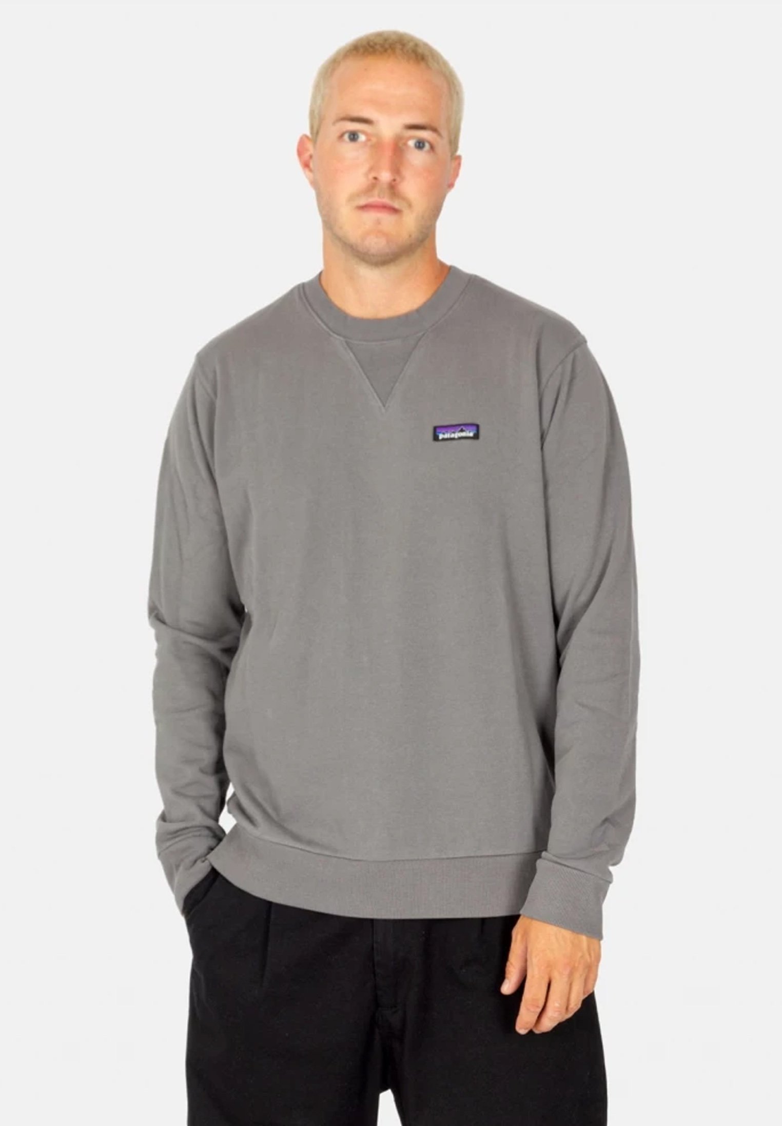 Patagonia CREWNECK - Sweatshirt - nobel grey/grey - Zalando.de