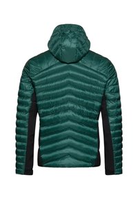 Grüne Steppjacke mit Wabenmuster, Kapuze und schwarzen Seitenteilen. Glattes, glänzendes Material mit einem gesteppten Design.