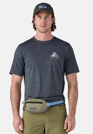 Patagonia TERRAVIA MINI HIP PACK UNISEX - Riñonera - grün