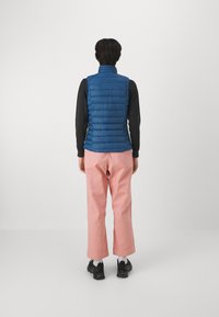 Patagonia SWEATER VEST - Väst - lagom blue
