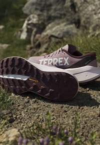 Ζευγάρι μοβ παπούτσια trail running Terrex με ανθεκτικές σόλες Continental τοποθετημένα σε βραχώδες εξωτερικό έδαφος κοντά σε γρασίδι και πέτρες.
