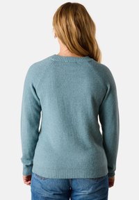 Helleblaue Wollpullover mit ribbeltem Halsausschnitt und Bündchen. Hat einen lockeren Schnitt und Raglanärmel, von hinten dargestellt.