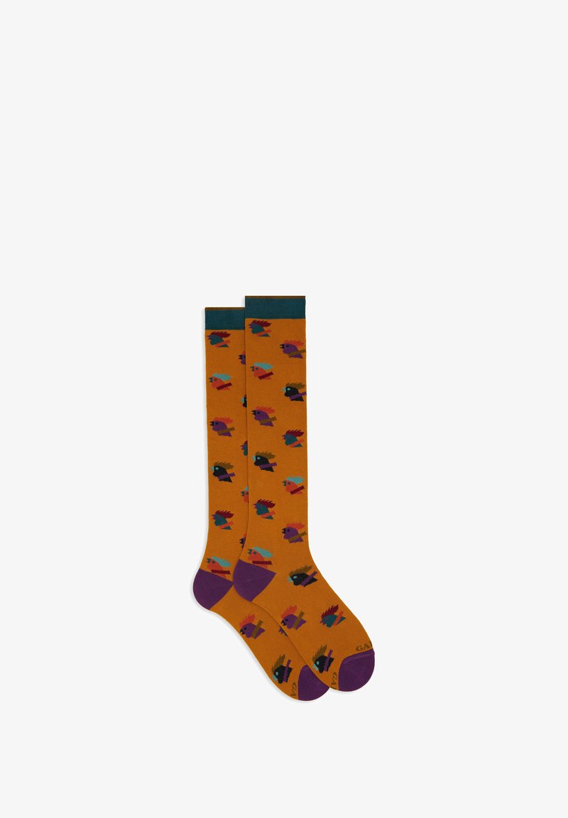 Knee-high socks in orange with a repeating pattern of colorful birds. Features a teal cuff and purple toe and heel accents. Soft texture.