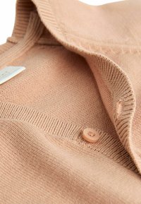 Next 1 PACK - Kardiganas - rust brown sage green