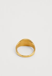 ALDO JEREMMY - Ring - black/gold-coloured