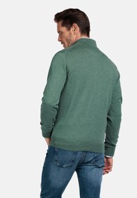 Groene trui met lange mouwen en een kraag, met ribgebreide manchetten en zoom, gedragen over een blauwe jeans. Soepele textuur, eenvoudige stijl.