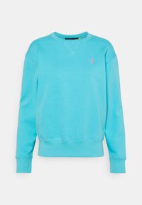 Světlomodrý sweatshirt vyrobený z bavlny, s klasickým výstřihem, žíhanými manžetami a malým růžovým logem na levé části hrudi. Hladká textura.