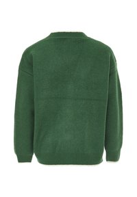 Grön stickad tröja med en texturerad ribbad design, rundad hals och långa ärmar. Baksidan är i en ens färg utan ytterligare detaljer.