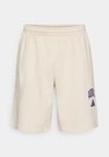 COLLEGIATE - Short de sport - alumina/dark blue