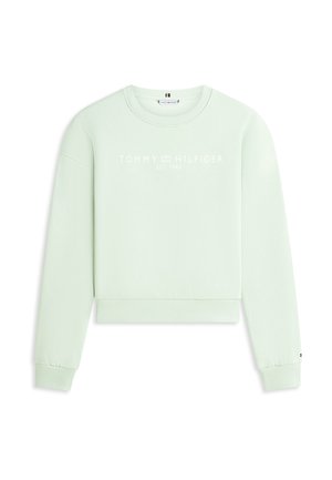 Tommy Hilfiger, CORP LOGO MDRN SWTSRT - CORP LOGO - Felpa - gentle jade