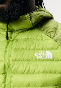 The North Face BETTAFORCA HOODIE - Jakna ispunjena paperjem - meadow grass/oak green