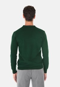 Maglione verde lavorato a maglia con colletto polo, maniche lunghe e polsini in costina; abbinato a pantaloni grigi chiari, visto da dietro.