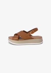 No seleccionado, camel