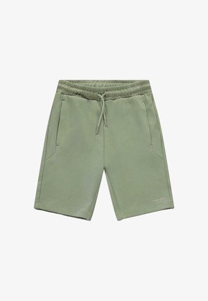 Groene sportbroekjes gemaakt van zacht materiaal, met een elastische tailleband met trekkoord, twee zijzakken en minimale tekstdetails.