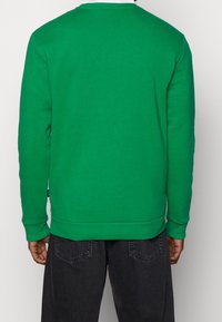 Groene sweater met een ronde hals, ribgebreide manchetten en onderzoom. De stof lijkt glad en iets gestructureerd. Zwarte jeans worden eronder gedragen.