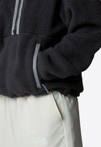 The North Face TNF FLEESKI - Fleece jumper - tnf black