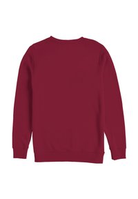 Felpa bordeaux con maniche lunghe, scollatura rotonda, polsini e orlo a costine. Texture morbida, design minimal e senza loghi o motivi visibili.