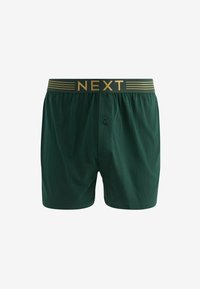 Next TEN PACK - Boxershorts - rich colour