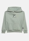 DISLOGO SPRING HERITAGE UNISEX - Sweat à capuche - green