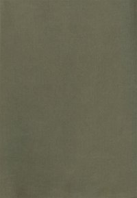 Tecido verde-azeitona com uma textura suave e mate, exibindo uma cor sólida e uniforme sem padrões ou enfeites.