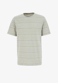 Ej vald, greyish green