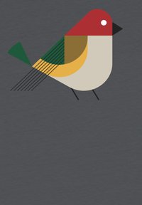 Kleurvolle vogelillustratie met geometrische vormen. Heeft een rode kop, groene vleugel, gele en bruine romp, en zwarte poten op een donkergrijze achtergrond.