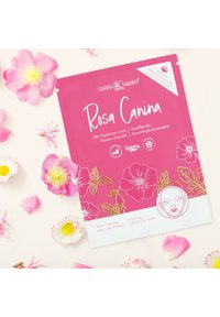 Rosa Canina Gesichtsmaske Verpackung in Pink mit weißen und goldenen floralem Design, umgeben von rosa Blütenblättern auf einem hellen Hintergrund.