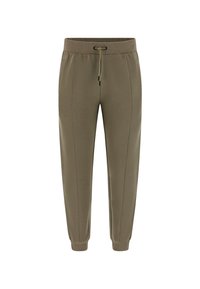 JOGGING SEITLICHES LOGO - Spodnji deli trenirk - hellgrün