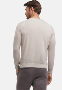 FALKE Basic New Merino V-Neck - Strickpullover - beige mel