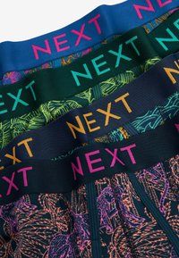 Next 4 PACK - Apakšbikses - navy blue colour pop animal