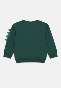 Πράσινη φούτερ μπλούζα με ραμμένες μανσέτες και στρίφωμα. Υφασμένα, τριγωνικά διακοσμητικά στοιχεία σε ένα μανίκι. Μαλακό υλικό, χαλαρή εφαρμογή, σχέδιο με στρογγυλή λαιμόκοψη.