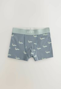 Next - Panty