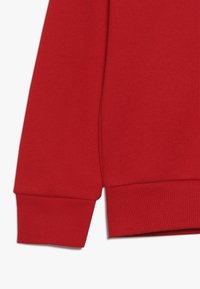 Polo Ralph Lauren Sweatshirt - red